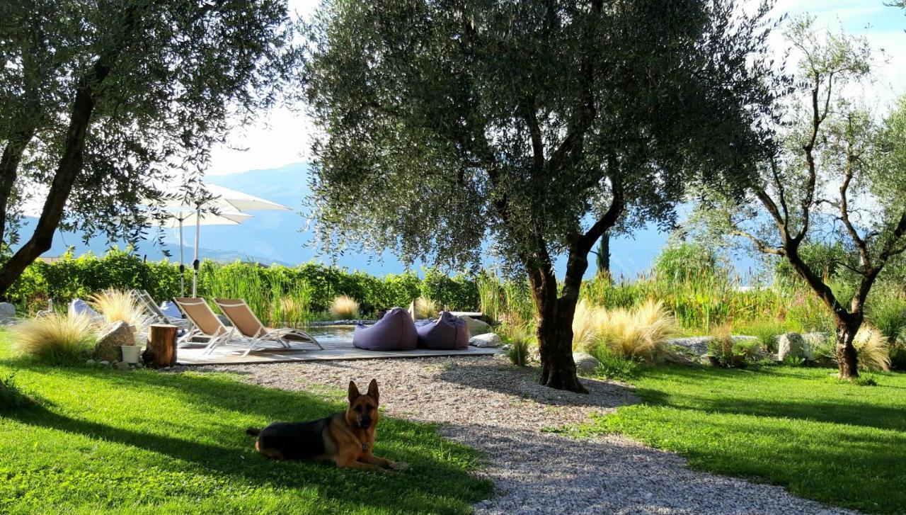 Agritur Fiore d'Ulivo Riva del Garda Extérieur photo