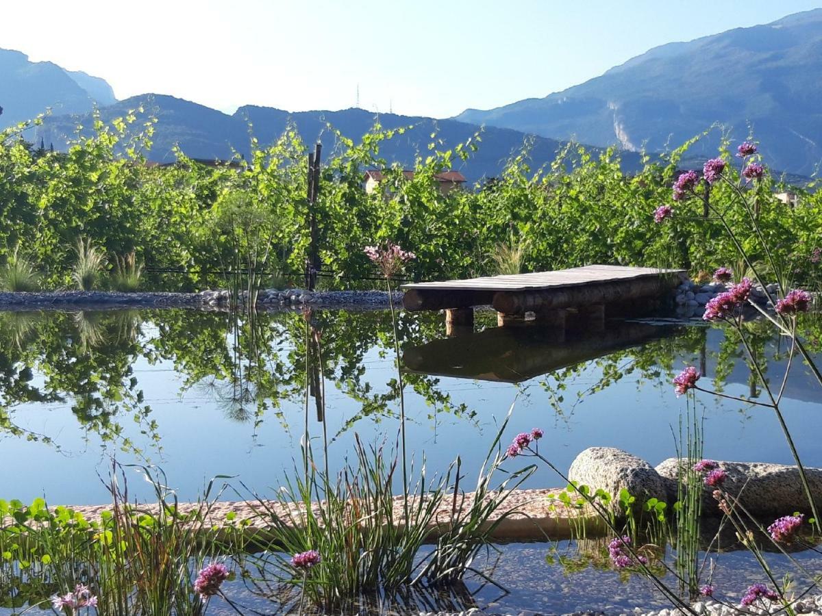 Agritur Fiore d'Ulivo Riva del Garda Extérieur photo